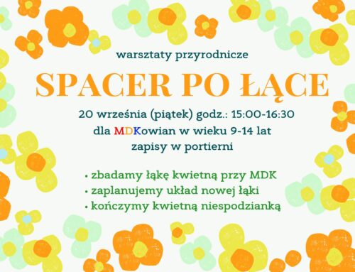 Warsztaty „Spacer po łące” – NOWY TERMIN: 20 września, godz. 15:00-16:30